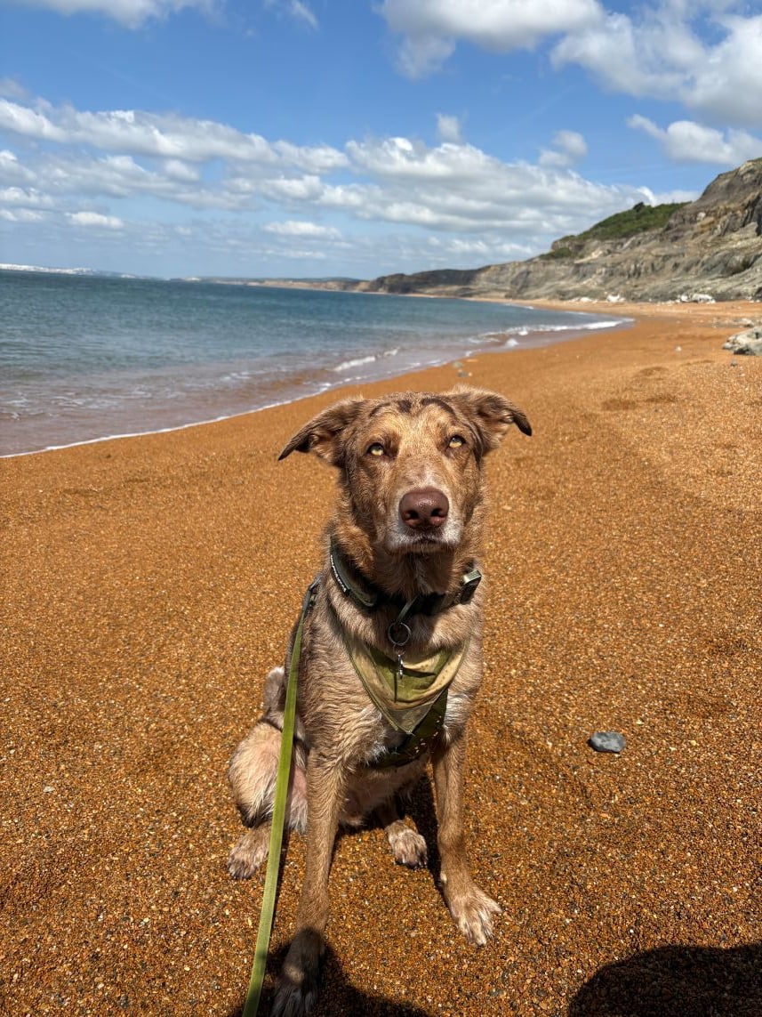 Rock End Beach