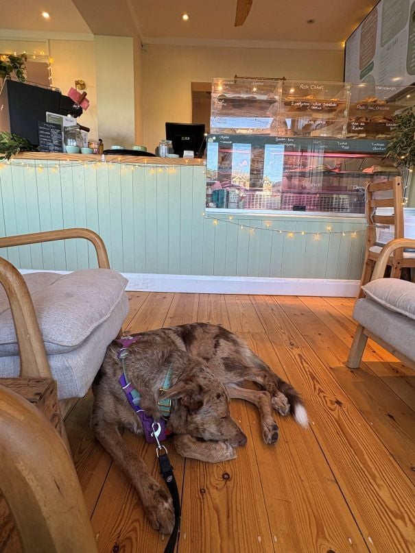 Nemo at Sage Coffee House