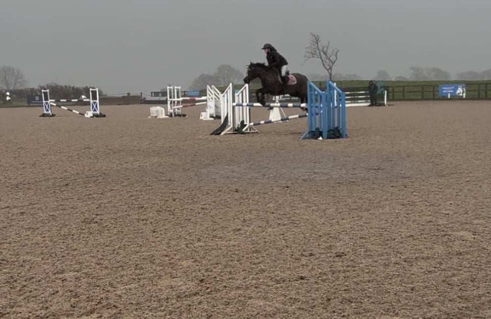 Rubi jumping in a show