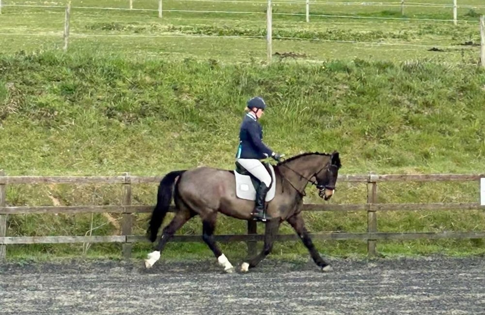 Sarah Holmes training