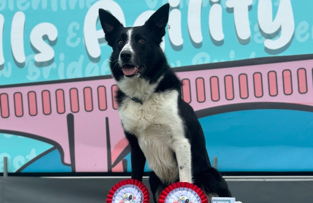 Dash at the podium