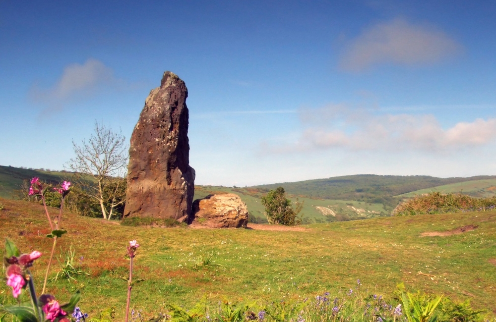 the longstone