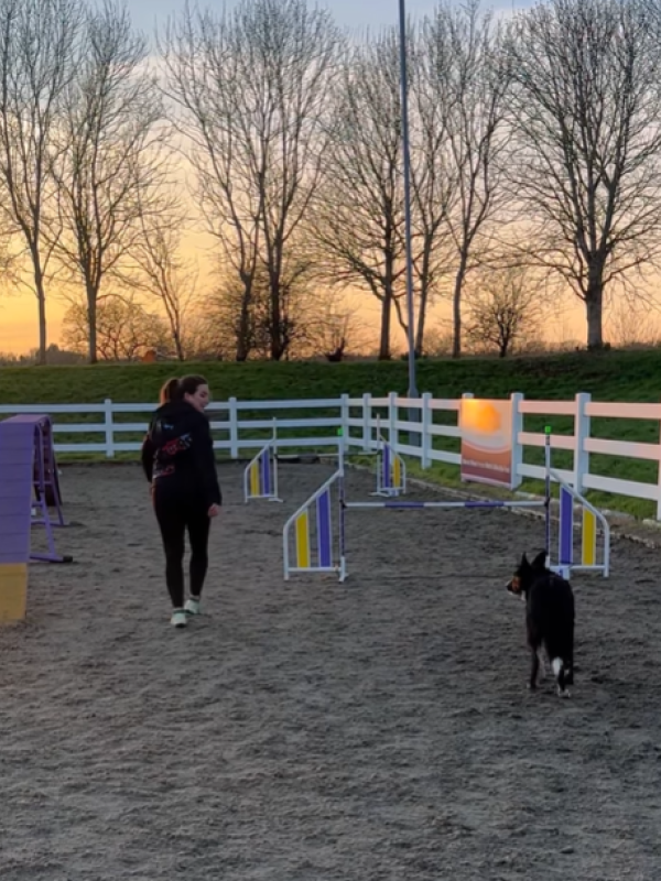 Abs and Dash in competition