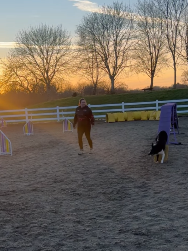 Abs and Dash in competition