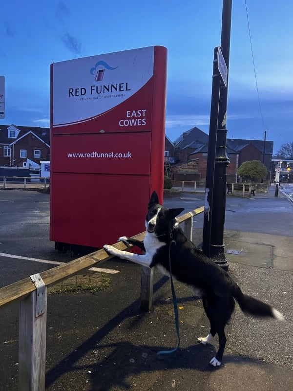 Dash at the Red Funnel Terminal