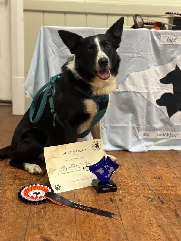 Dash with his awards