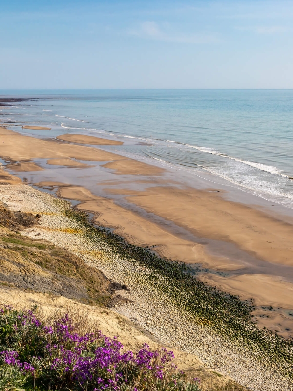 Compton Bay
