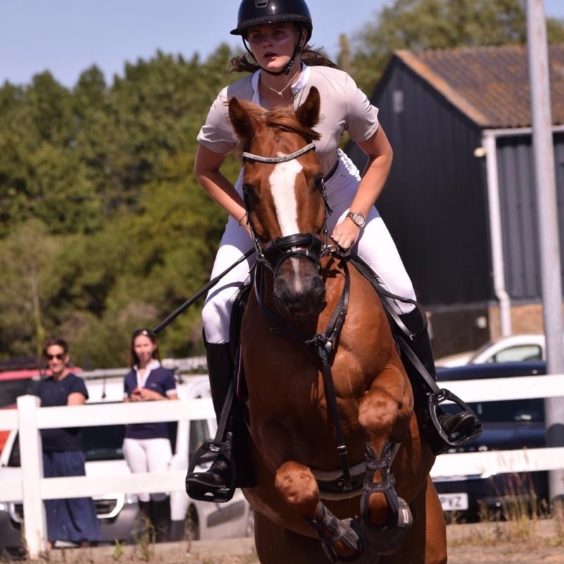 Rubi Harper Showjumping