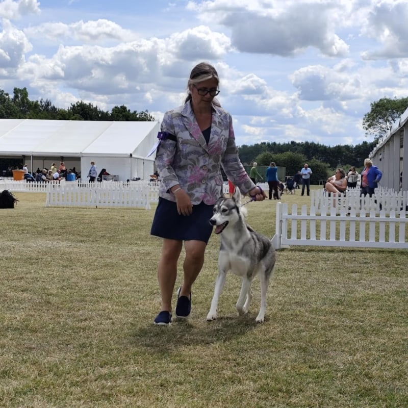Wightflight in competition