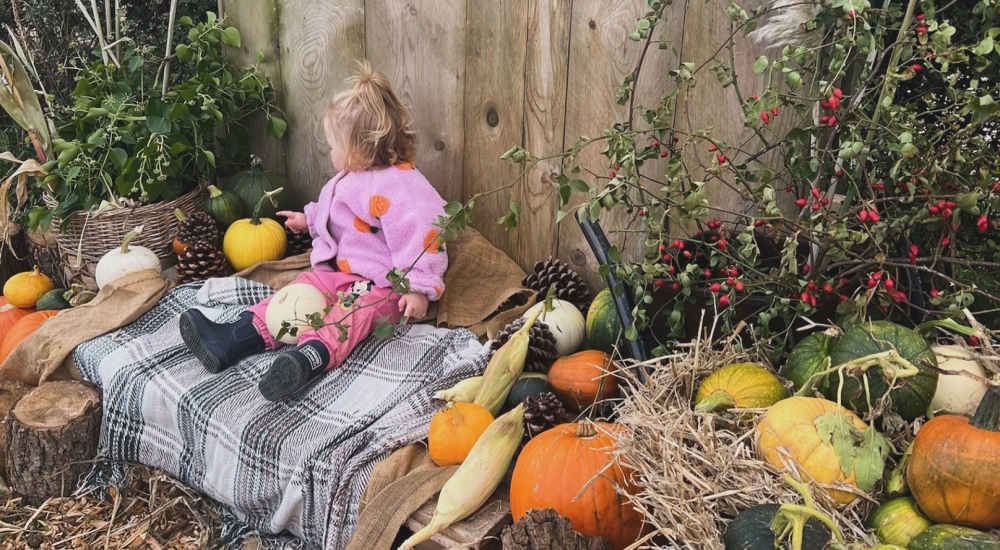 a small child surrounded by an array of different colour pumpkins